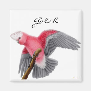 Galah Kaketoe Magneet