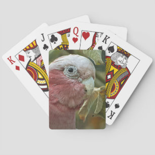 Galah Kaketoe Roze Australische Vogel Portret Pokerkaarten