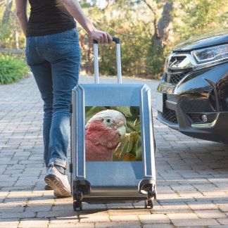 Galah Kaketoe Roze Australische Vogel Portret Sticker