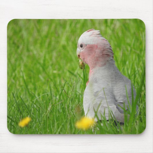 Galah Mousepad Muismat (Voorkant)