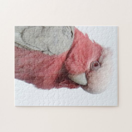 Galah Puzzle (Horizontal)