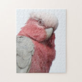 Galah Puzzle (Vertical)