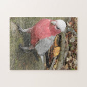 Galah Puzzle Legpuzzel (Horizontaal)