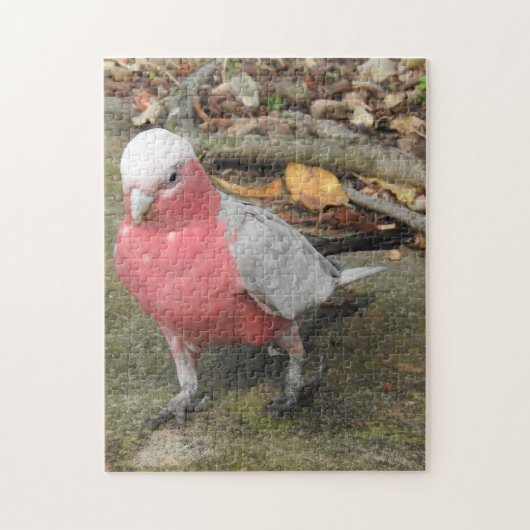 Galah Puzzle Legpuzzel (Verticaal)