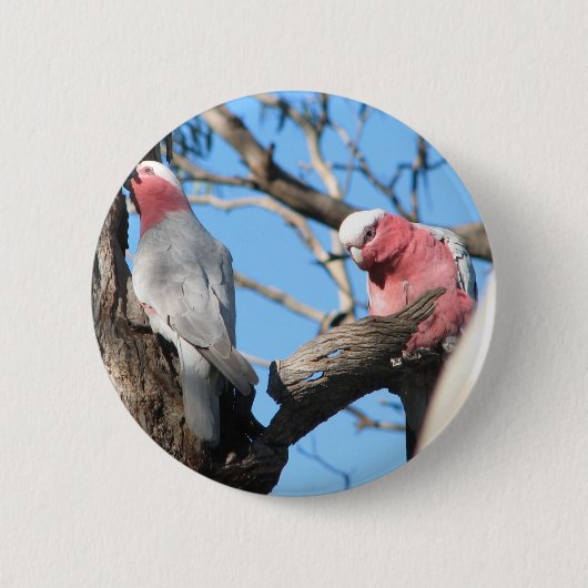 Galah Ronde Button 5,7 Cm (Voorkant)