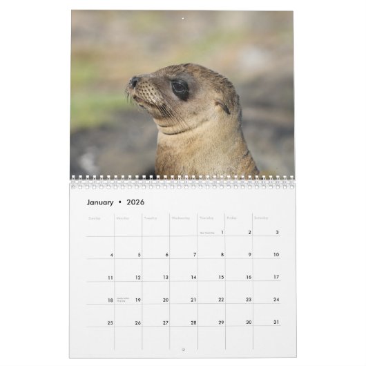 Galapagos - 12-maanden wandkalender kalender (Jan 2026)