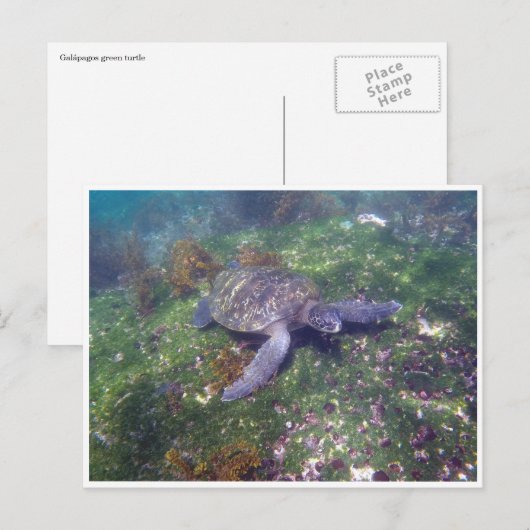 galapagos briefkaart (Voorkant / Achterkant)