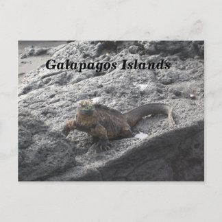 Galapagos Briefkaart
