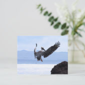 Galapagos Briefkaart (Staand voorkant)