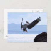 Galapagos Briefkaart (Voorkant / Achterkant)