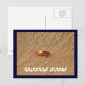 Galapagos Briefkaart (Voorkant / Achterkant)