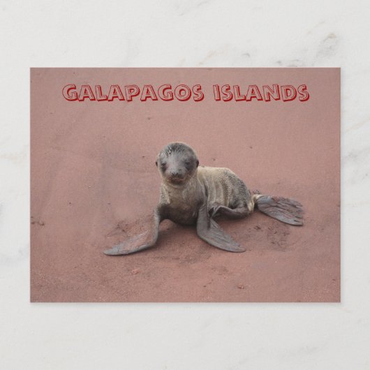 galapagos briefkaart (Voorkant)