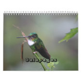 Galapagos Calendar Kalender (Hoes)