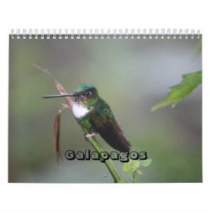 Galapagos Calendar Kalender