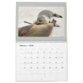 Galapagos ! Calendrier (Feb 2026)
