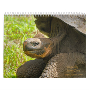 Galapagos ! Calendrier
