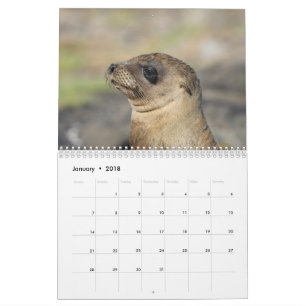 Galapagos - calendrier mural de 12 mois