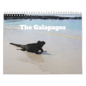 Galapagos - calendrier mural de 12 mois (Protection)