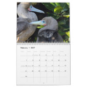 Galapagos - calendrier mural de 12 mois (Feb 2027)