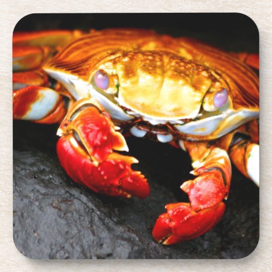 Galapagos Crab Bier Onderzetter (Voorkant)