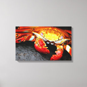 Galapagos Crab Canvas Afdruk