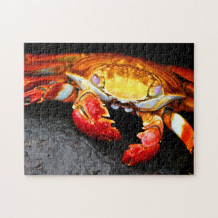 Galapagos Crab Legpuzzel