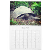 Galapagos dieren 2025 kalender (Mar 2026)