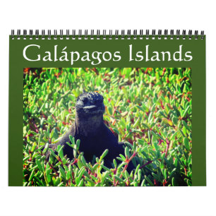Galapagos-dieren 2027 kalender
