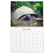 Galapagos eilanden dieren 2025 groot kalender (Mar 2026)