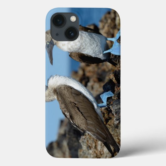 Galapagos-eilanden, Isabela eiland Case-Mate iPhone Case (Achterkant)