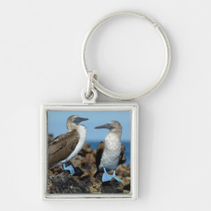 Galapagos-eilanden, Isabela eiland Sleutelhanger