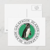 Galapagos-eilanden Penguin Briefkaart (Voorkant / Achterkant)