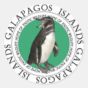 Galapagos-eilanden Penguin Ronde Sticker