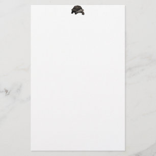Galápagos/Galapagos Giant Tortoise Briefpapier