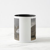 Galapagos Giant Tortoise Geochelone Mok (Midden)