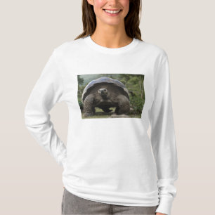 Galapagos Giant Tortoises Geochelone T-shirt