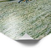 Galapagos hawk foto afdruk (Hoek)