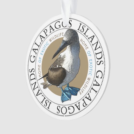 Galapagos Îles Bleu Pied Booby Bird (devant)