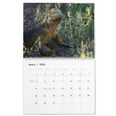Galápagos Kalender (Mar 2026)