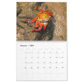 Galápagos Kalender (Feb 2026)