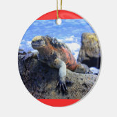 Galapagos Keramisch Ornament (Links)