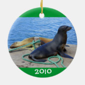 Galapagos Keramisch Ornament (Achterkant)
