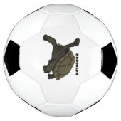 Galapagos landschildpad voetbal (Gedraaid)