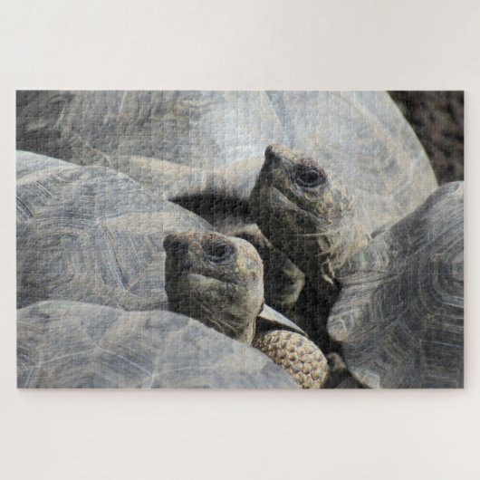 galapagos legpuzzel (Horizontaal)