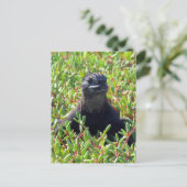 galapagos marine iguana green briefkaart (Staand voorkant)