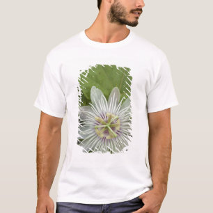 Galapagos Passiebloem Passiflora foetida T-shirt