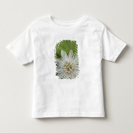 Galapagos Passion Flower Passiflora foetida Kinder Shirts (Voorkant)
