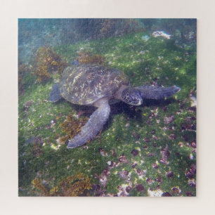 galapagos schildpad groen legpuzzel