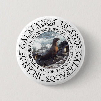 GALAPAGOS SEALS ROUND RONDE BUTTON 5,7 CM