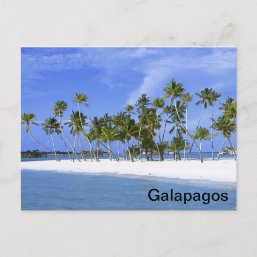 Galapagos - strand briefkaart (Voorkant)